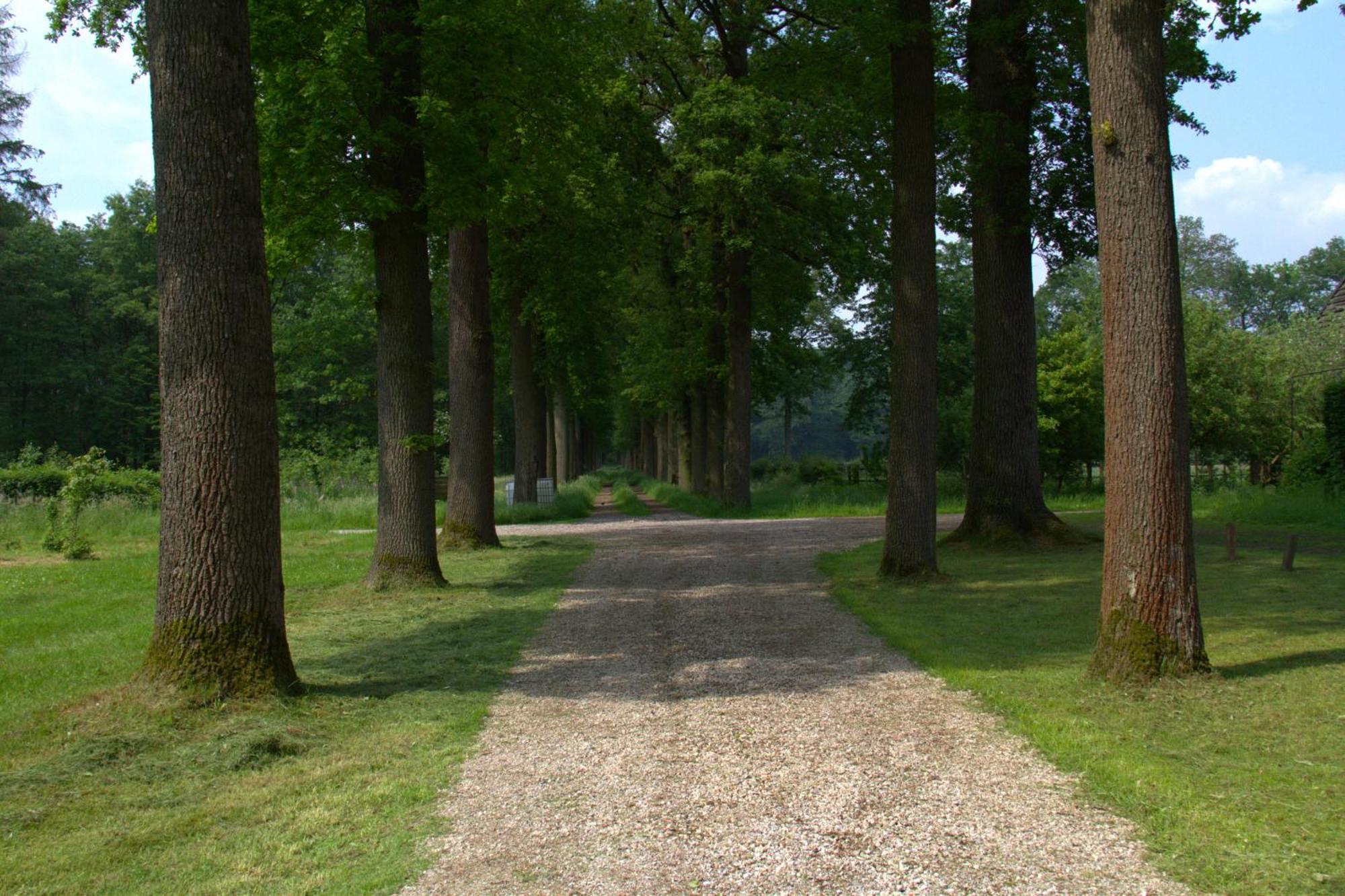 B&B Kasteel Den Tip Arendonk Εξωτερικό φωτογραφία